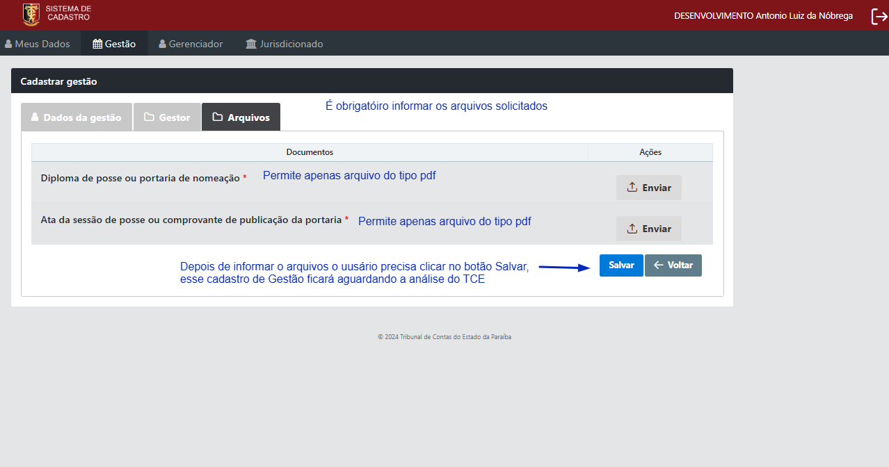 informar_gestao_aba_arquivos.png
