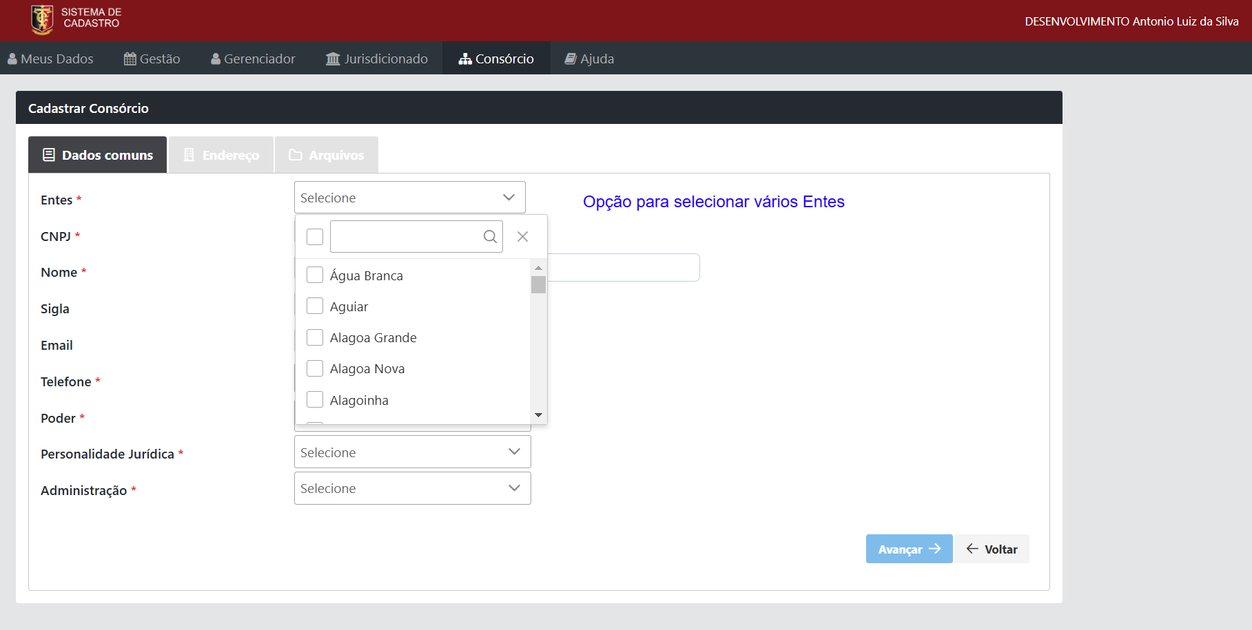 cad_consorcio_entes.png