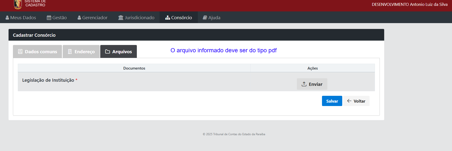 cad_consorcio_tela_arquivo.png